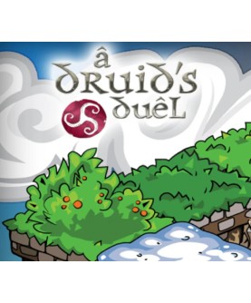 A Druid s Duel Steam Key GLOBAL